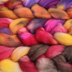 Hand Painted Top / Roving | Finnish | Circus Act