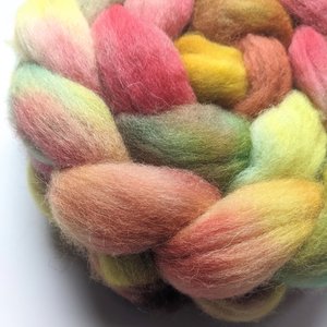 Hand Painted Top / Roving | Cheviot | Sugar Maple
