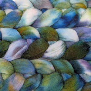Hand Painted Top / Roving | Rambouillet | Riverbank 