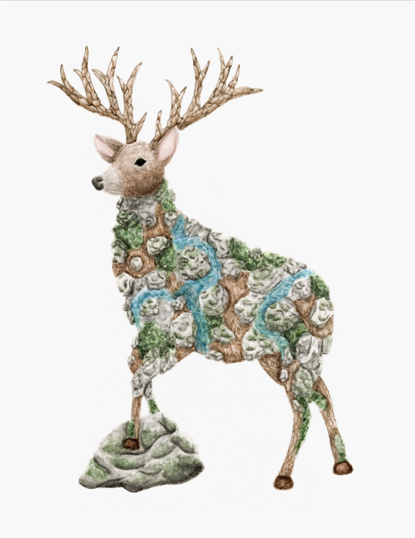 Art Print | Digital Download | Deer