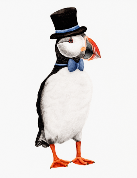 Art Print | Digital Download | Puffin