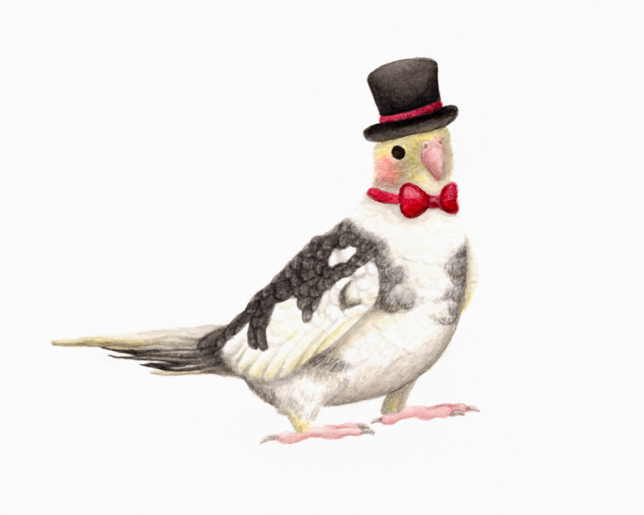 Art Print | Digital Download | Cockatiel